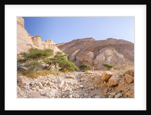 Negev Desert, Israel by Assaf Frank